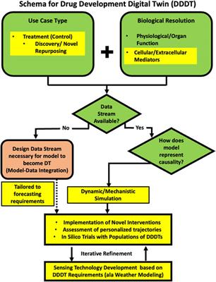 Drug Development Digital Twins for Drug Discovery, Testing and Repurposing: A Schema for Requirements and Development